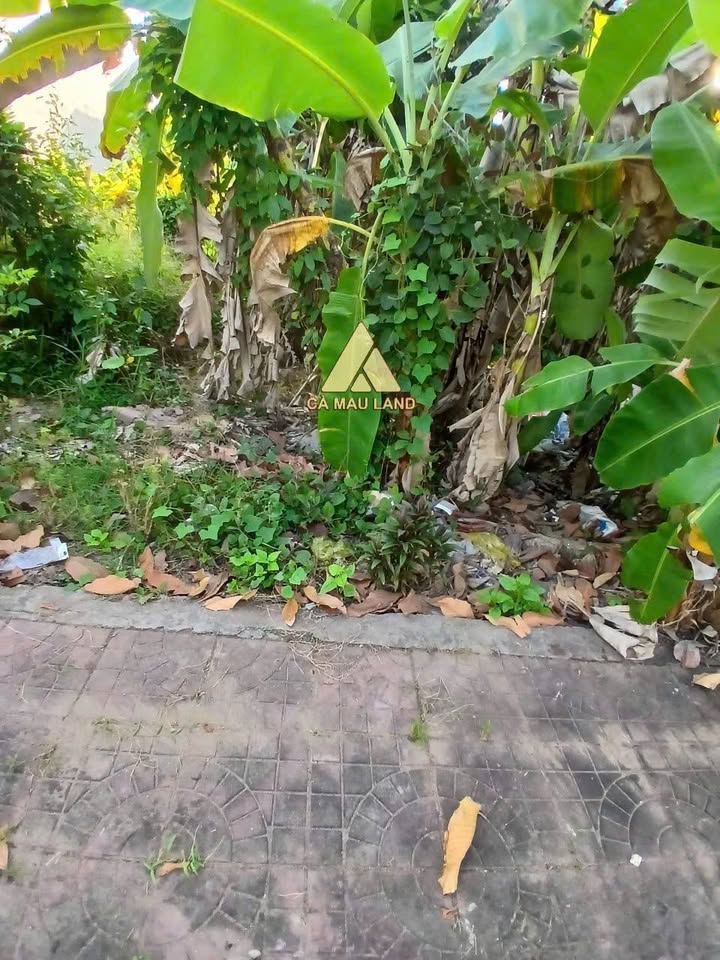 Đất nền khu dân cư Tân Xuyên Cà Mau 122m² giá chỉ 900 triệu - Đầu tư sinh lời ngay!