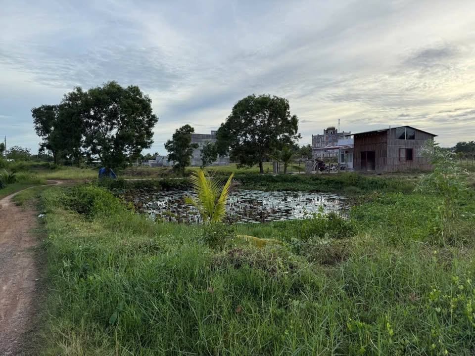 Đất cây trồng xã Hồng Sơn, 1116m² giá 750 triệu - Sổ đỏ chính chủ