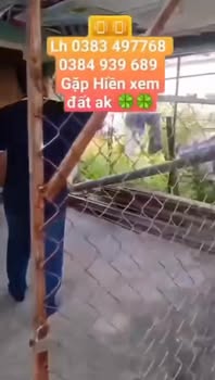 Đất thổ cư 83m² tại kp1, phường 1, TX Cai Lậy - Cơ hội đầu tư tuyệt vời!