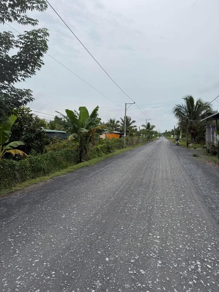 Đất mặt tiền huyện lộ 71, xã Hòa Khánh, 714m² giá 1.291 tỷ - Nhà cấp 4 mới đẹp!