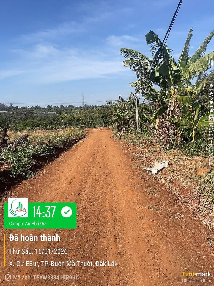 Đất nền vườn Phường Thành Nhất 506m² giá 900 triệu - Đầu tư sinh lời cao!