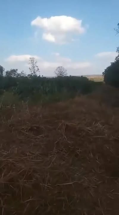 Đất nông nghiệp 1ha 4 ở xã Ea Kiết, Cư M'gar - Giá chỉ 450 triệu VND