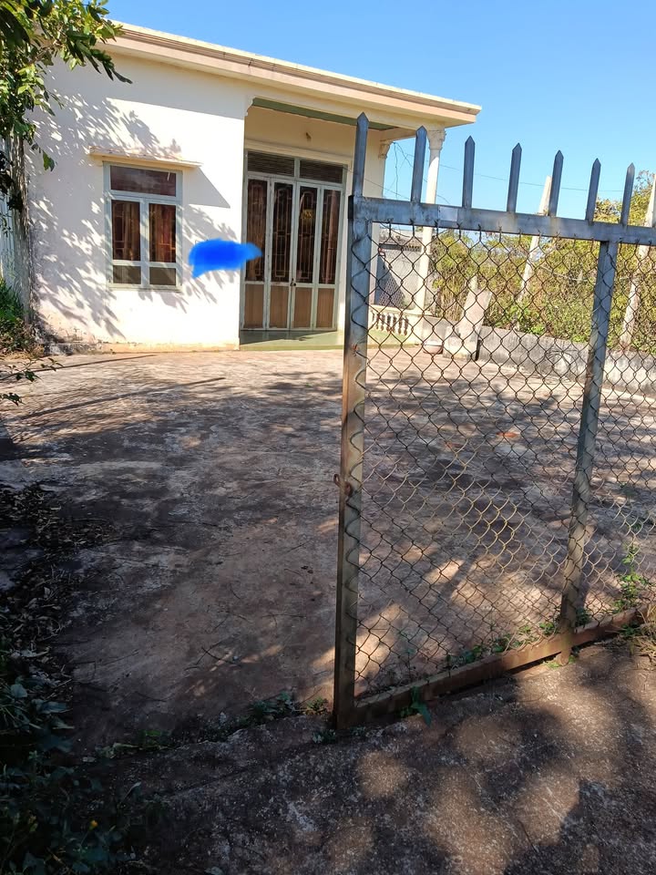 Đất nền Chư Sê 234m² giá 500 triệu - Cơ hội đầu tư hấp dẫn!