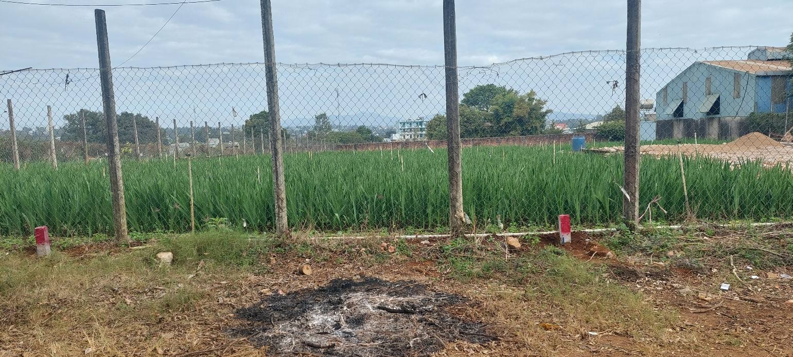 Đất nền hẻm Lý Thường Kiệt, An Phú, 330m² giá 900 triệu - Cơ hội đầu tư tuyệt vời!