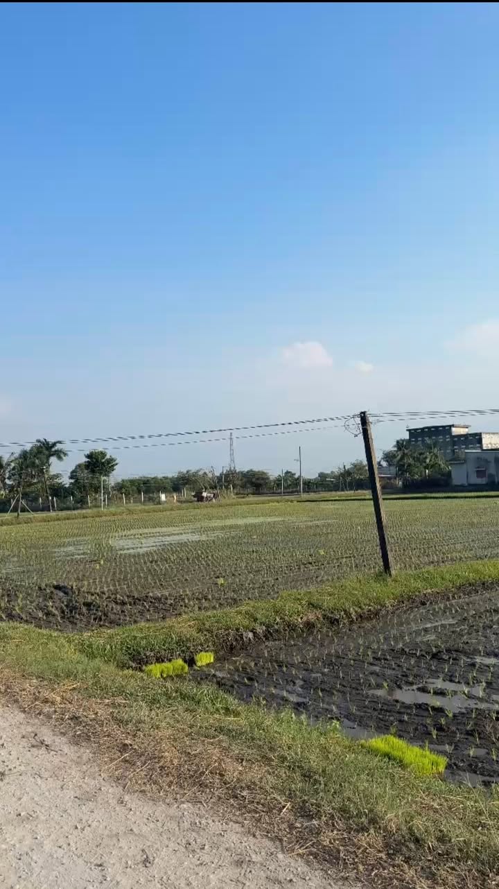 Đất nền Xã Hiệp Hòa, Huyện Đức Hòa 1050m² giá 3.15 tỷ - Sổ hồng riêng chính chủ!