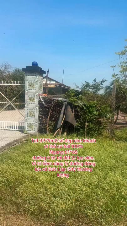 Đất thổ cư 3979m² tại Đức Lập Hạ, Long An giá chỉ 15 tỷ - Cơ hội đầu tư tiềm năng!
