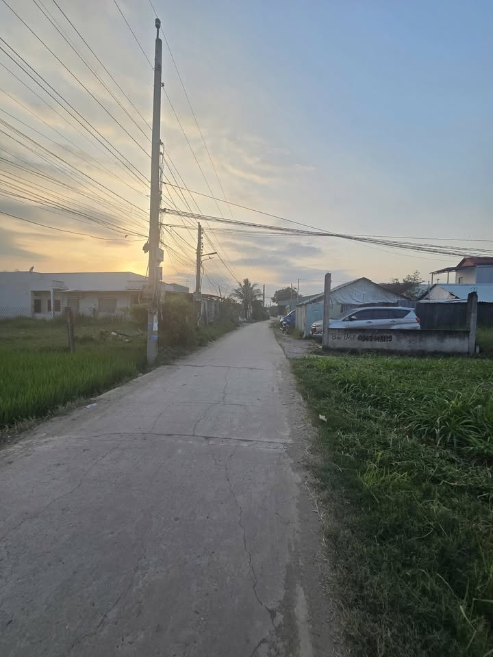 Đất thổ cư mặt tiền Hóc Nghệ, Cần Đước 260m² giá 1.450 tỷ - Cơ hội đầu tư hấp dẫn!