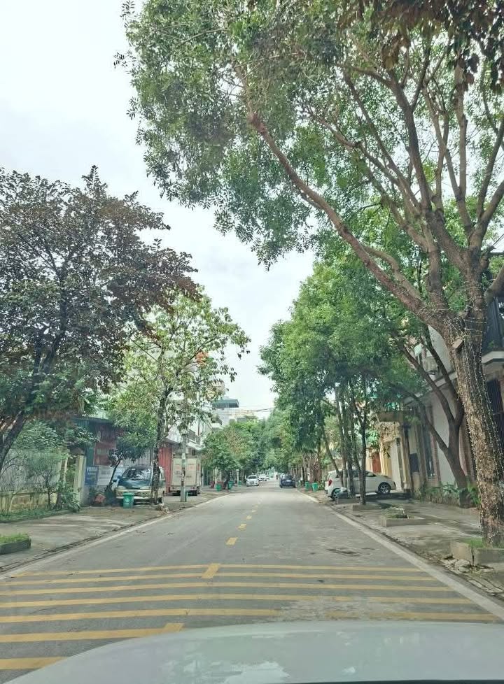 Đất nền Ninh Bình 300m² giá thỏa thuận - Khu kinh doanh sầm uất!