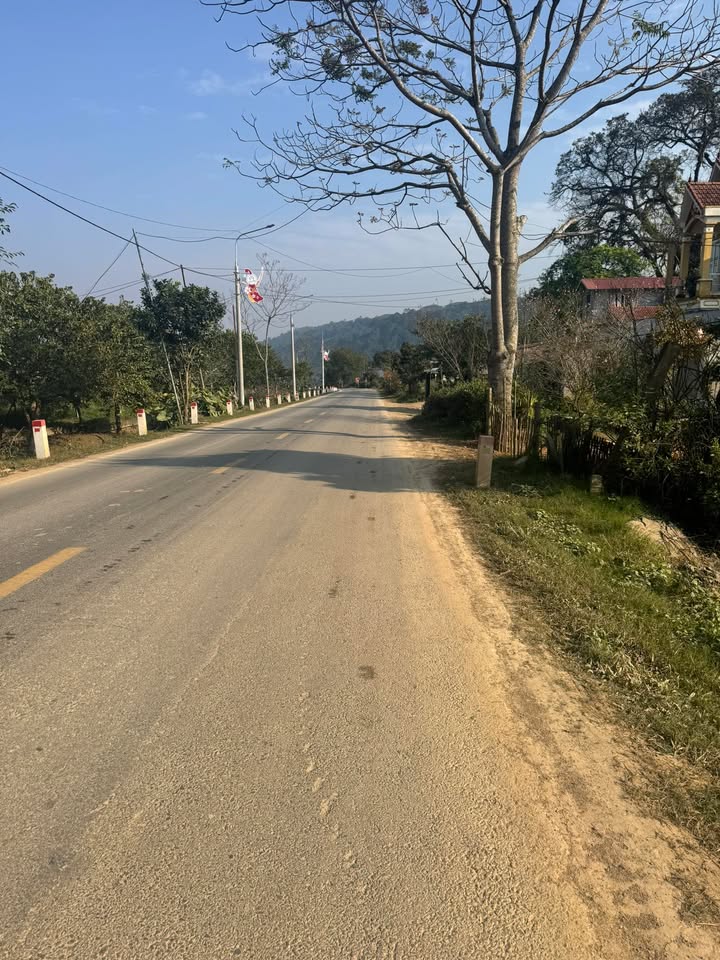 Đất thổ cư 300m² tại Chiềng La, Sơn La - Giá chỉ 5 tỷ, vị trí đắc địa!