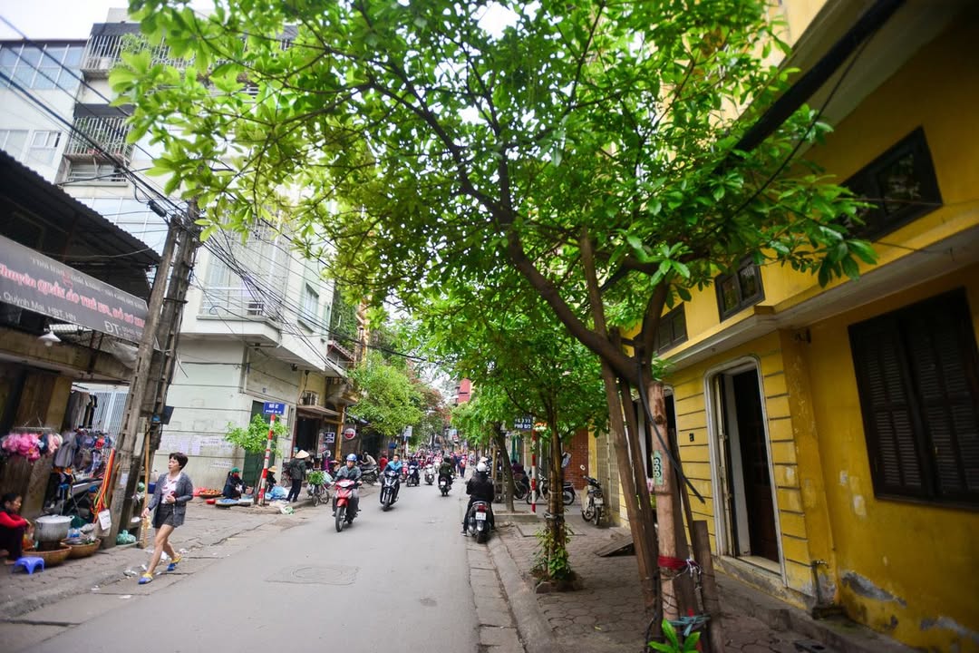 Nhà mặt phố 8/3, Quận Hai Bà Trưng, 31m² giá 13.5 tỷ - Kinh doanh đỉnh cao!