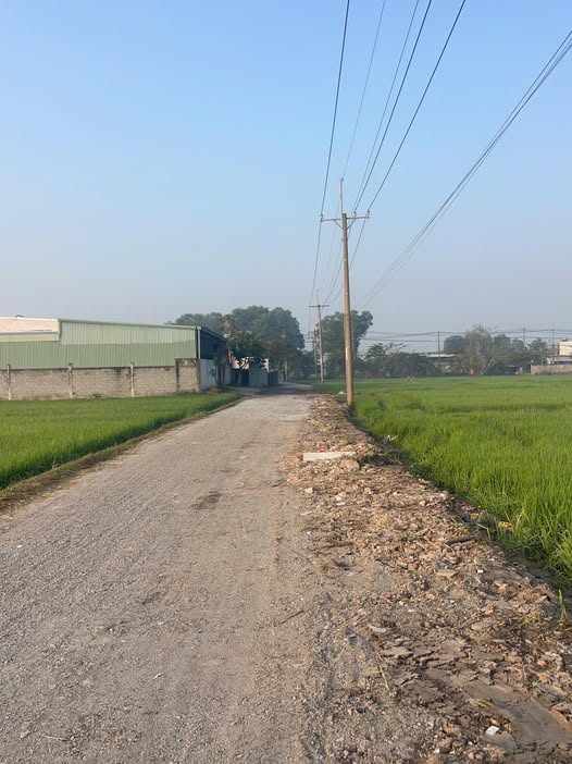 Đất nền xã Củ Chi 175m² giá 2.55 tỷ - Cơ hội đầu tư tuyệt vời!