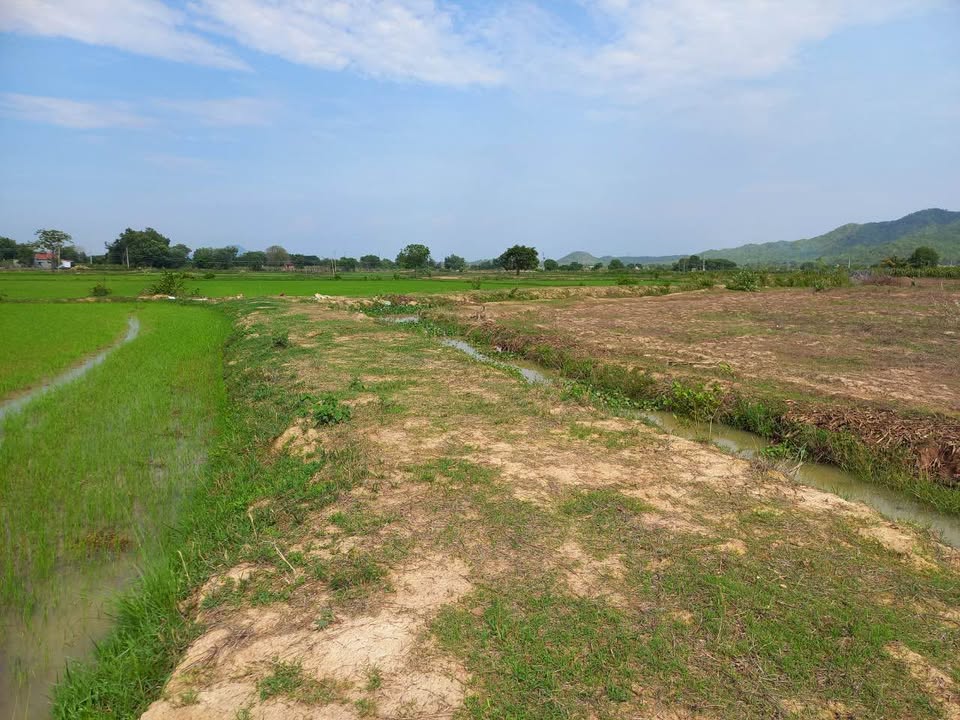 Đất Farm 5 sào tại Xã Thuận Minh, Huyện Hàm Thuận Bắc - Giá 605 triệu - Cơ hội đầu tư hấp dẫn!