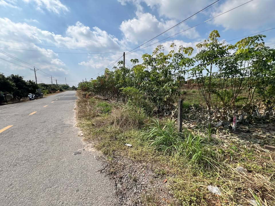 Đất nền Ấp Trường Xuân 110m² giá 450 triệu - Đầu tư sinh lời ngay!