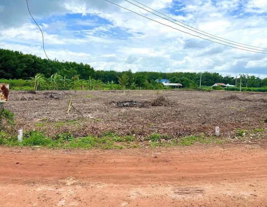 Đất nền 125m² tại Ấp Tân Định, Xã Suối Đá, Giá tốt - Xây rào sẵn!