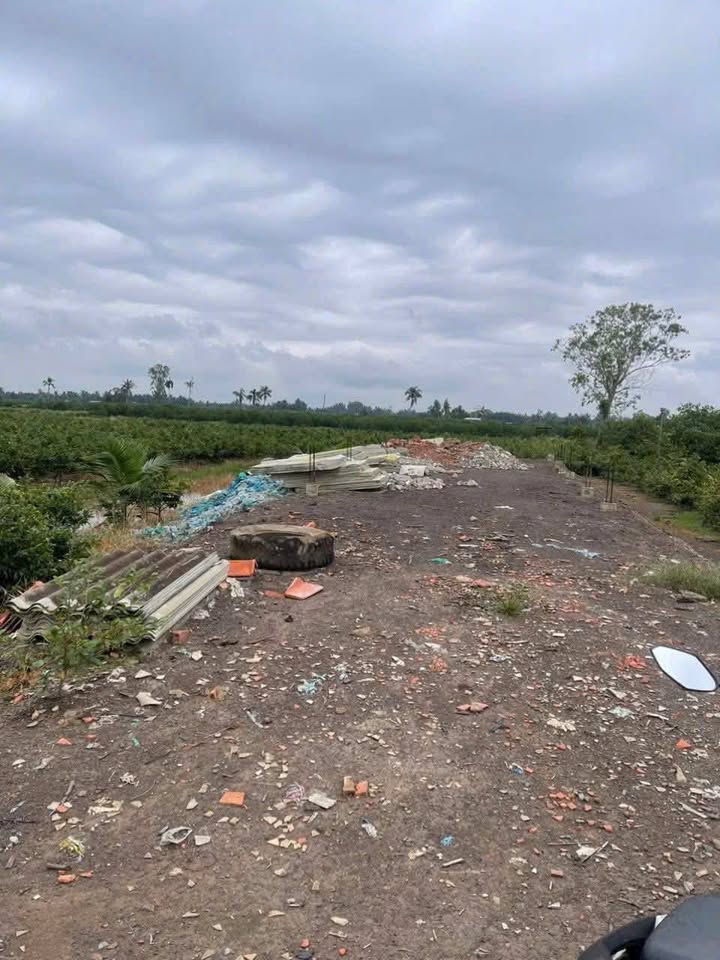 Đất vườn 3800m² tại Lương Hòa - Bến Lức - Giá chỉ 3.23 tỷ - Đường ô tô tới đất!