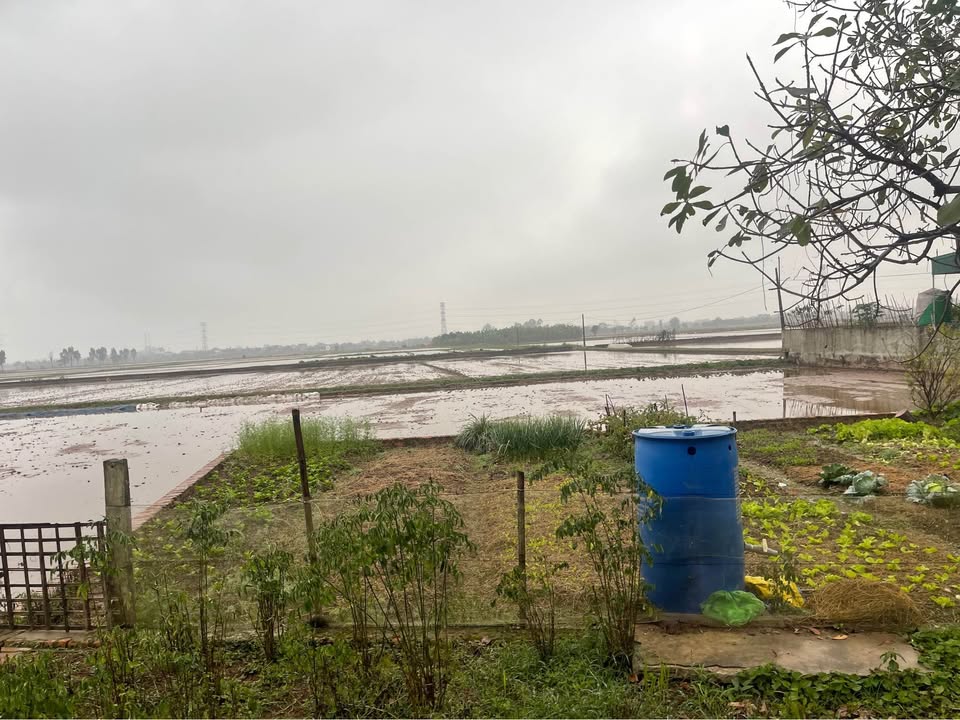 Đất nền xã Đông Kết, Huyện Khoái Châu 200m² giá thỏa thuận - Cơ hội đầu tư tuyệt vời!