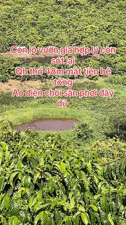 Đất vườn 7.000m² xã Bảo Thuận, Di Linh giá chỉ 3.7 tỷ - Tiềm năng phát triển cao!