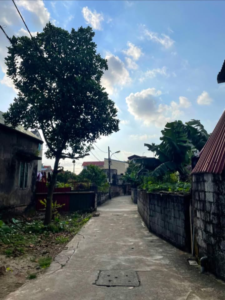 Đất nền Lam Sơn Hưng Yên 87m² giá 1.5 tỷ - Hướng Bắc, ô tô vào tận sân!