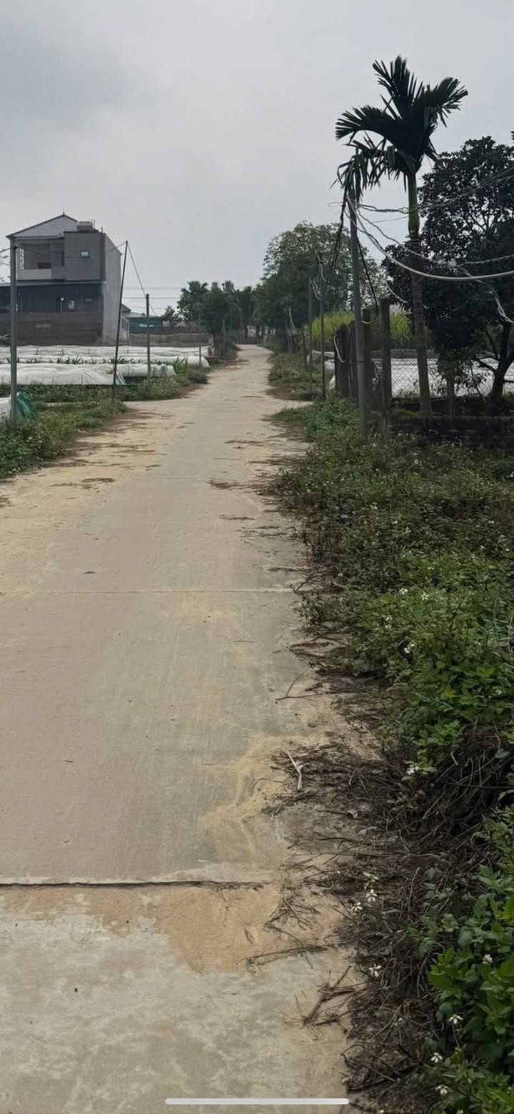 Đất Hoàng Xá, Huyện Thanh Thủy, 200m² giá 1 tỷ - Cơ hội đầu tư tuyệt vời!