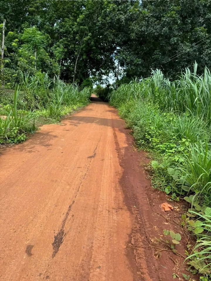 Đất nền 720m² Lộc Thuận, Bình Phước - Giá chỉ từ 300 triệu!