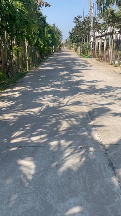 Đất nền Duy Vinh 100m² giá 800 triệu - Cơ hội đầu tư hấp dẫn!