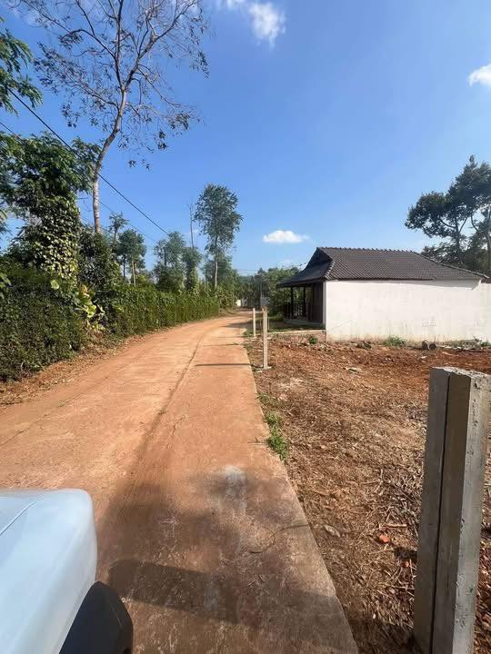 Đất thổ cư Hòa Thắng, Buôn Ma Thuột 100m² giá chỉ 750 triệu - Cơ hội đầu tư tuyệt vời!