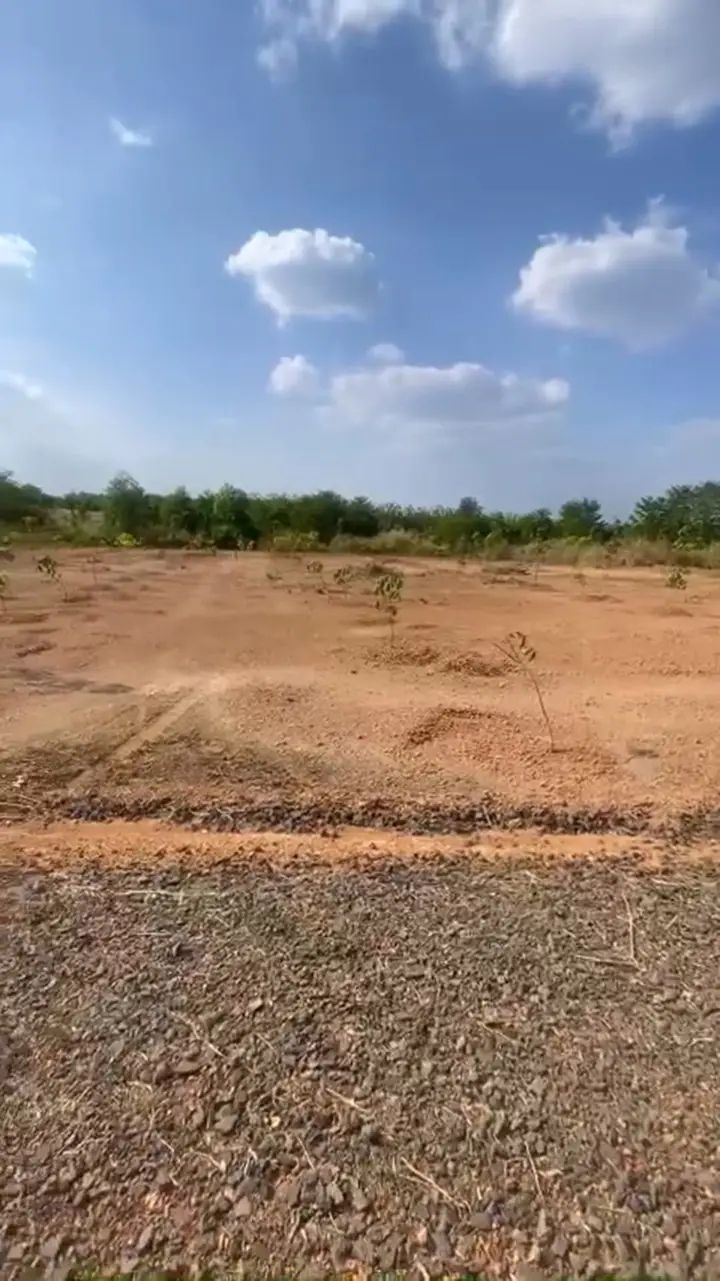 Đất sào Đồng Tiến 1024m² giá 230 triệu - Đầu tư sinh lời lý tưởng!