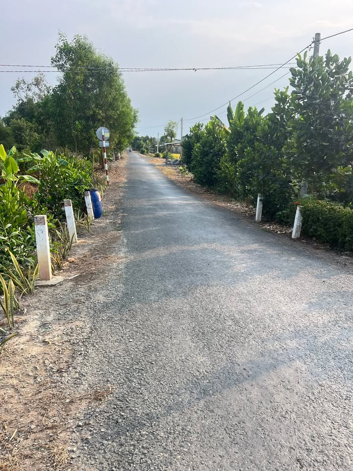 Đất Farm 3.400m² tại Xã Tân Hòa, Huyện Lai Vung - Giá 650 triệu, Đường xe hơi tới nơi!