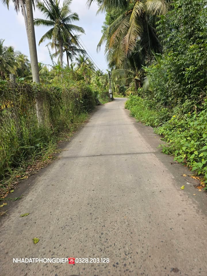 Đất vườn Mỏ Cày Bắc 6421m² giá 800 triệu - Thương lượng tốt