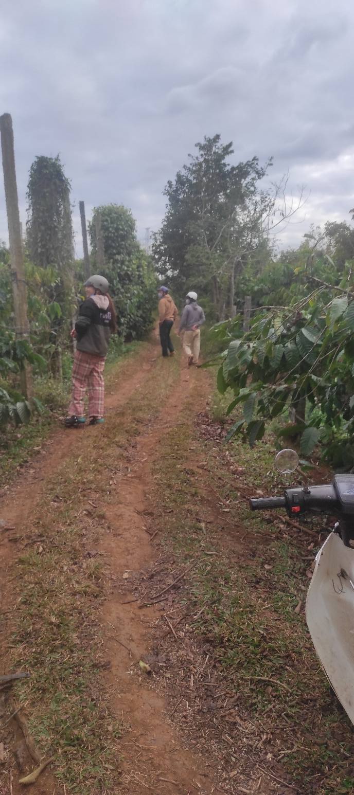 Đất nền buôn Bra, xã Cư Dliê M'nông, 1296m² giá 1.8 tỷ - Cơ hội đầu tư hấp dẫn!