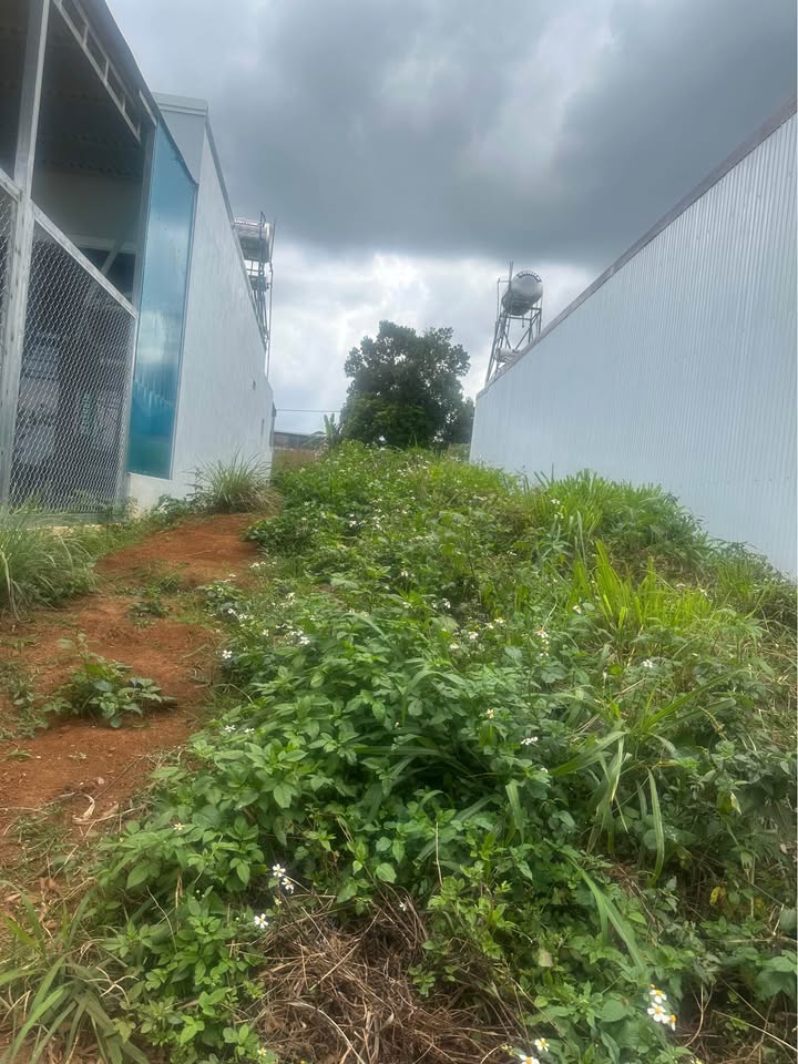 Đất thổ cư Xã Di Linh 120m² giá 950 triệu - Sổ hồng chính chủ!