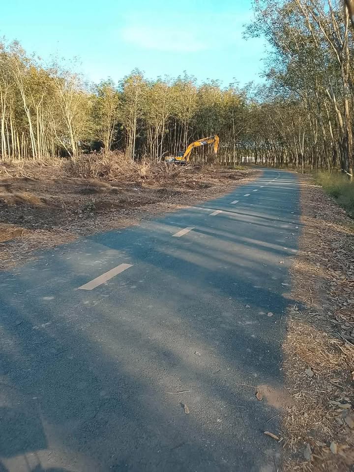 Đất nền 1hec mặt tiền đường nhựa Vĩnh Hoà - Giá tốt 8 tỷ!