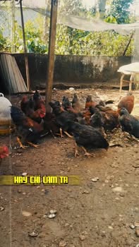 Đất nền mặt tiền QL 14, Xã Thuận An, 1600m² giá 1.2 tỷ - Cơ hội hiếm có!