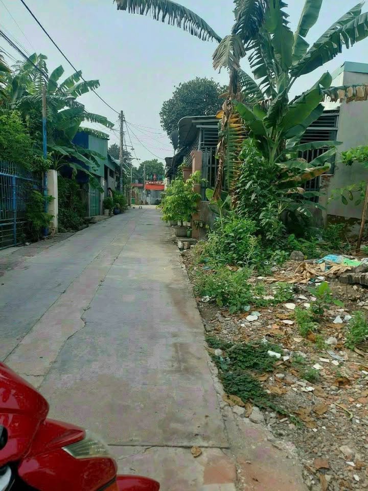 Đất thổ cư Trảng Dài 100m² giá 1.28 tỷ - Sổ đỏ chính chủ, bớt lộc cho người thiện chí!