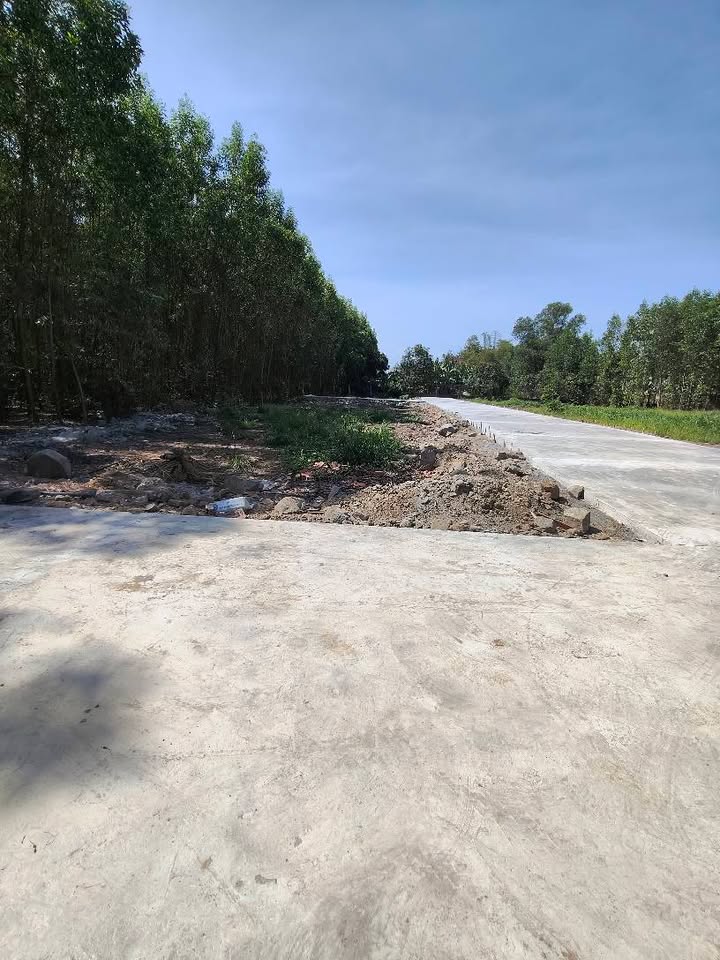 Đất thổ cư Hương Lộ 15, Tân Triều, 95m² giá 500 triệu - Cơ hội đầu tư hấp dẫn!