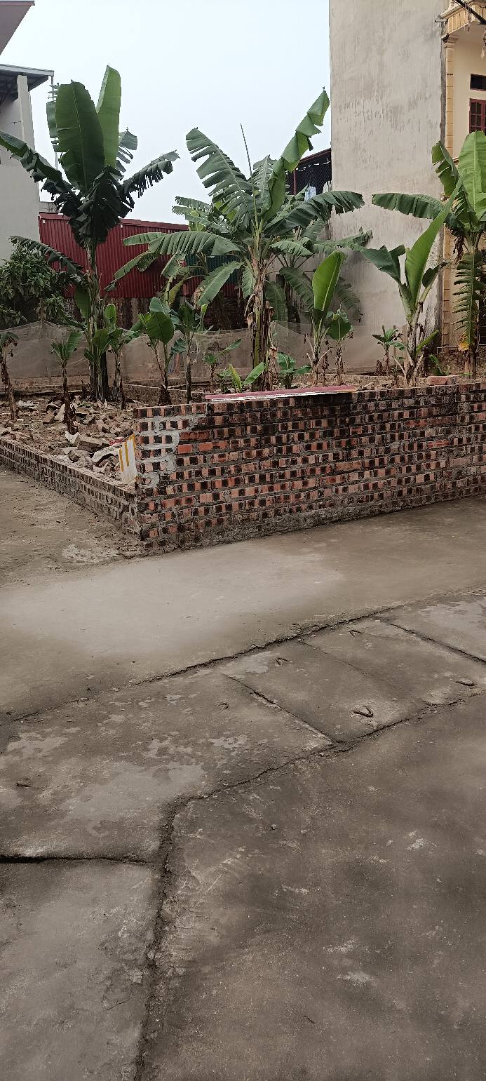 Đất nền Vân Nội 65m² giá thỏa thuận - Lô góc hai mặt thoáng sáng