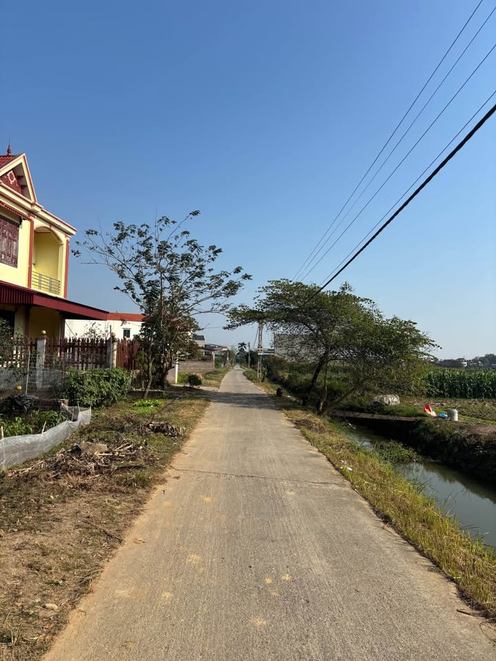 Đất nền Hiệp Hòa Bắc Giang 170,3m² giá 3 tỷ - Vị trí đắc địa, sổ đỏ chính chủ!