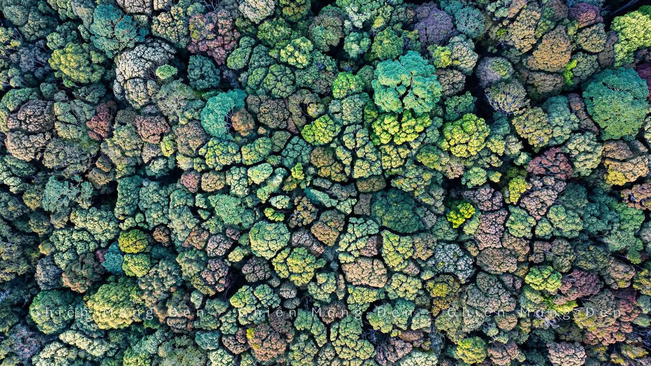 Đất thổ cư mặt tiền đường Làng, xã Hiếu, 1.130m² giá 1.15 tỷ - Cơ hội đầu tư tuyệt vời!