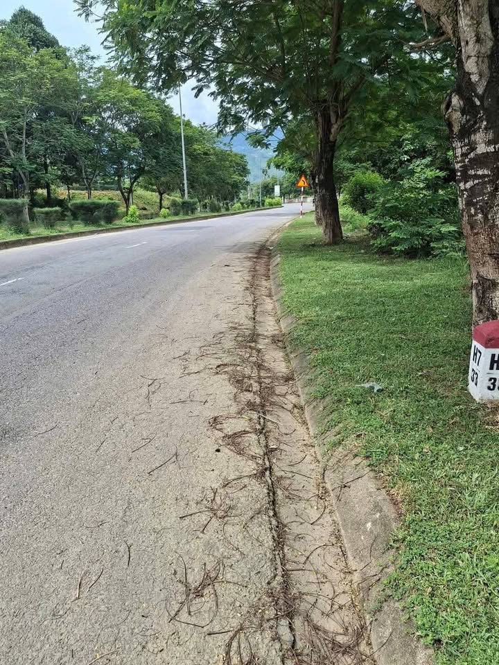 Đất thổ cư xã Liên Sang Khánh Vĩnh 225m² giá 990 triệu - Đầu tư sinh lời ngay!