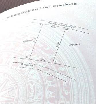 Đất thổ cư tại Thôn 10 Hiệp Hòa, Quảng Yên 240m² giá chỉ 2.424 tỷ - Cơ hội đầu tư tuyệt vời!