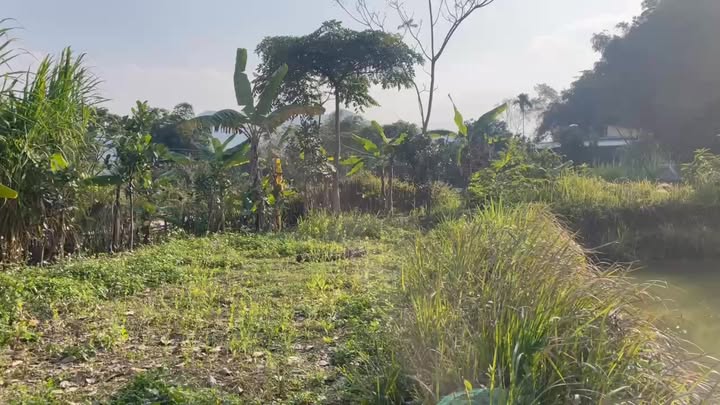 Đất thổ cư 1600m² tại Thị trấn Đà Bắc - Giá chỉ 1 tỷ, đầu tư sinh lời ngay!