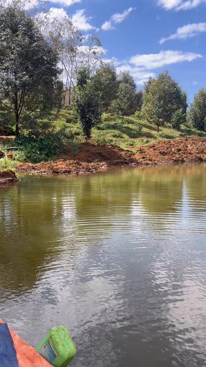 Đất nông nghiệp 2.2ha tại Bù Gia Mập, Bình Phước giá 1.1 tỷ - Đầu tư sinh lời ngay!