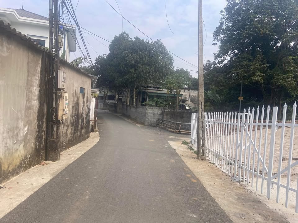 Đất nền tổ 11, Phường Dân Chủ, 900m² - Đầu tư sinh lời ngay!