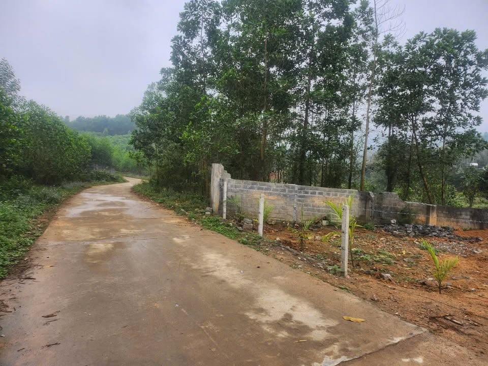 Đất Tân Hòa - Phú Thọ 519m² giá thương lượng - Sổ đỏ chính chủ