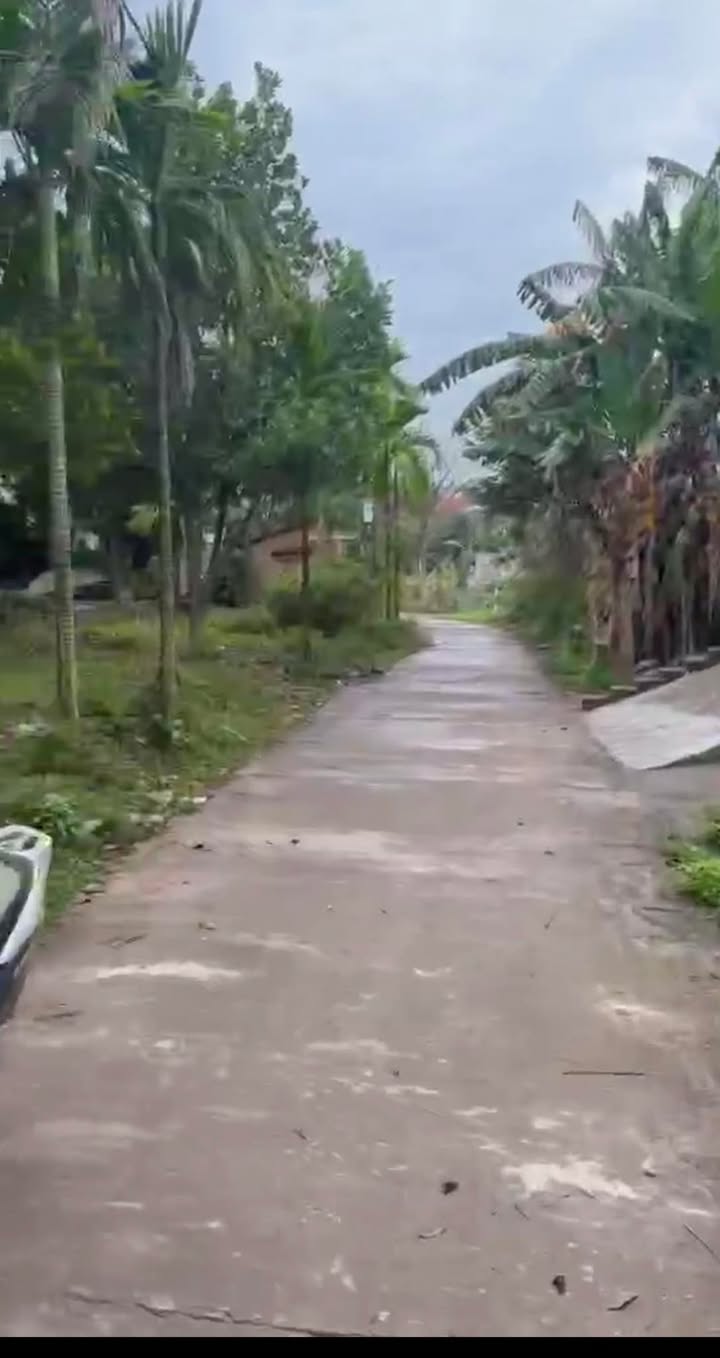 Đất nền xã Trung Đông, huyện Trực Ninh, 280m² - Sổ đỏ chính chủ, ô tô vào tận đất!