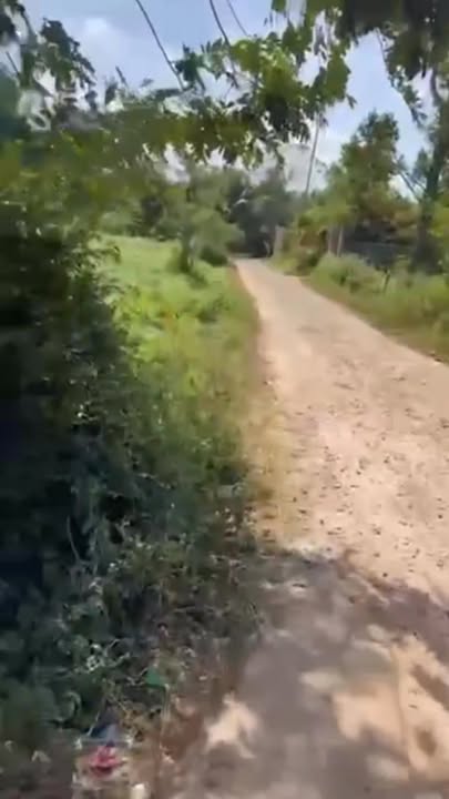 Đất nền Ea Tiêu, Huyện Cư Kuin, 275m² giá 15.125 tỷ - Cơ hội đầu tư hấp dẫn!