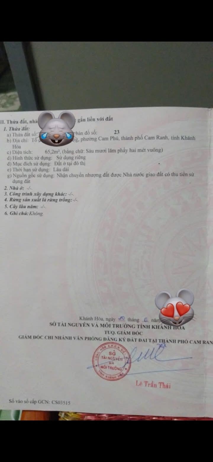 Lô đất vàng Cam Phú, Cam Ranh 65m² giá thỏa thuận - Vị trí đắc địa gần biển!