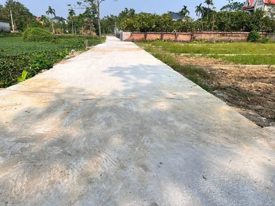 Đất Thổ Cư Lô Góc 132m² Thôn Trung Phú, Bắc Giang - Giá Cực Tốt Chỉ 600 Triệu!