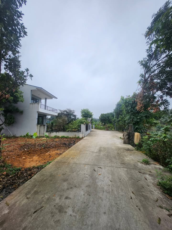 Đất nền khu Hương Trầm, Việt Trì 70m² giá 1.8 tỷ - View hồ tuyệt đẹp!