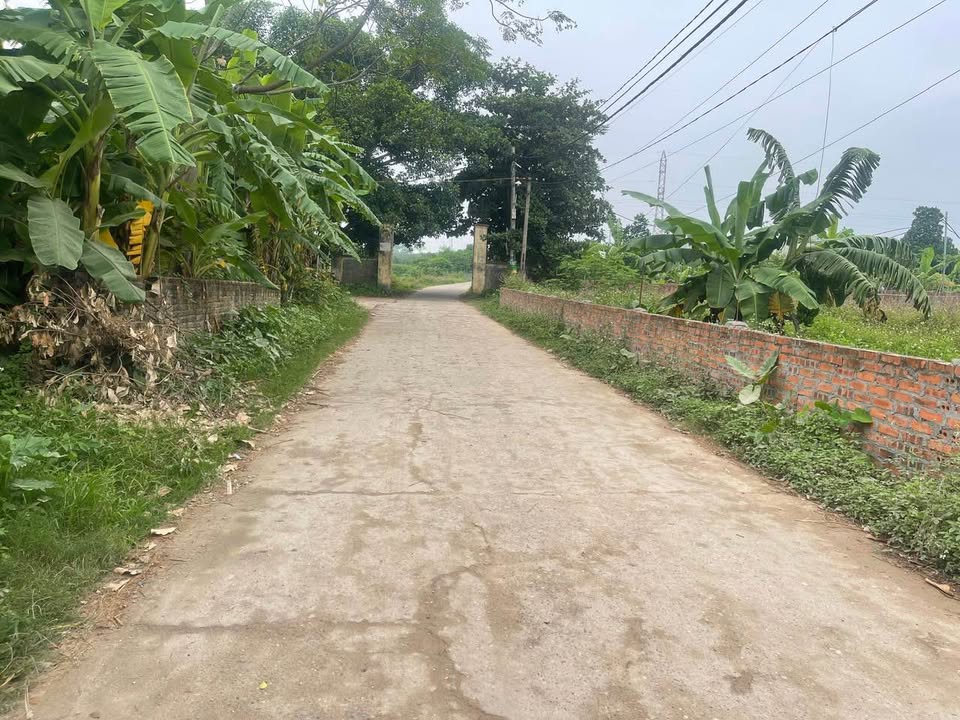 Đất nền Sông Lô - Thanh Miếu 164.5m² giá 1.645 tỷ - Đầu tư sinh lời ngay!